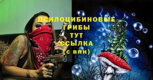 стафф Баксан