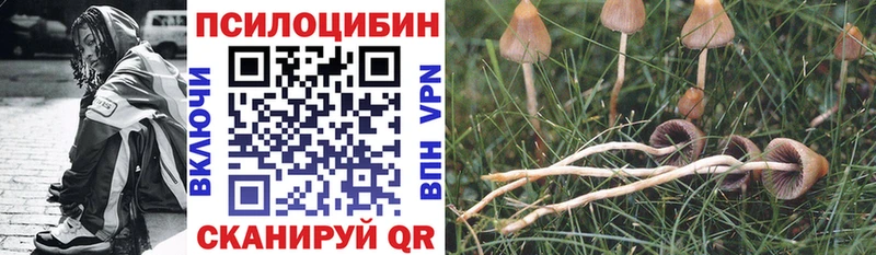 нарко площадка Telegram  Вихоревка  Галлюциногенные грибы Psilocybe  blacksprut  